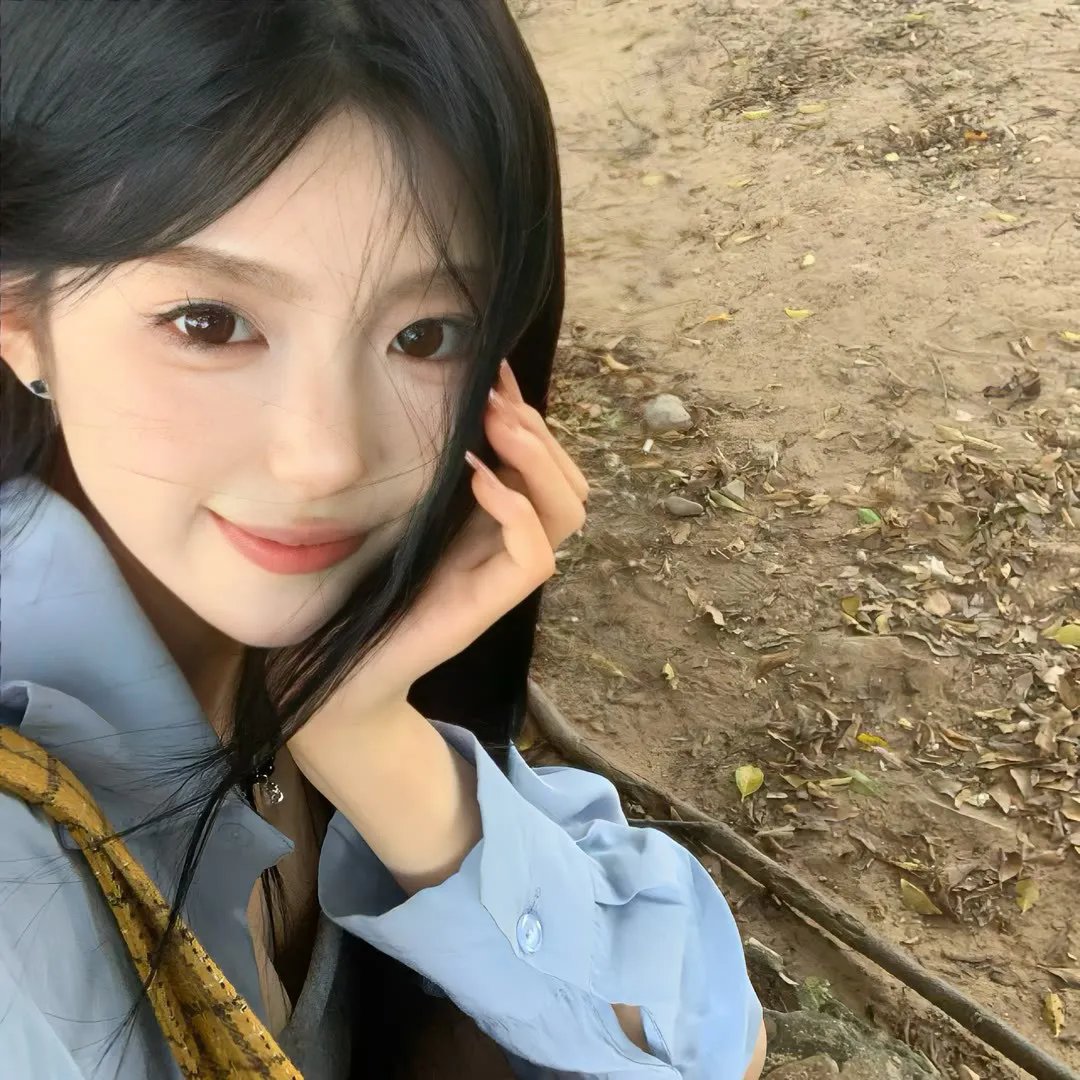 恋恋飞翔